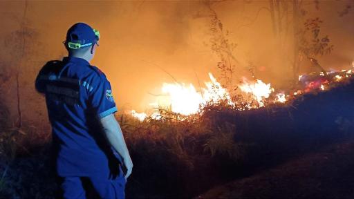Incendios forestales Huila Hoy: municipios afectados 