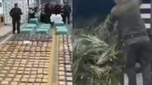 Incautación de marihuana Garzón Huila  