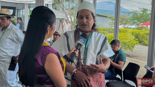 COP16: inversión $300 mil millones para implementación proyectos ambientales