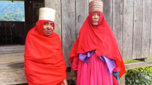 Antioquia: Restituyen hectáreas de tierra al pueblo Emberá Eyábida