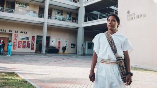 Inteligencia Artificial: Anula 1.0