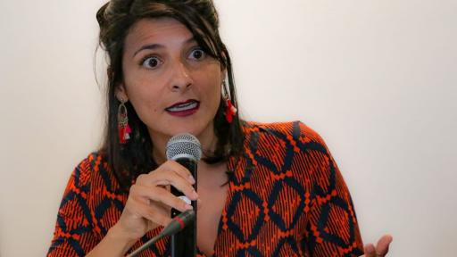 ¿Quién es Irene Vélez, nueva ministra de Minas y Energía?