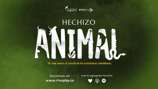 RTVCPlay: Escucha 'Hechizo animal'