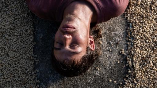 Cine colombiano: película 'La Roya' y 'Alis' en Guadalajara