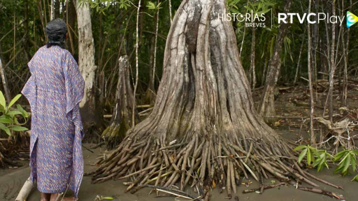 Lanzamiento de la nueva temporada de ‘Historias breves’, lugar y fecha