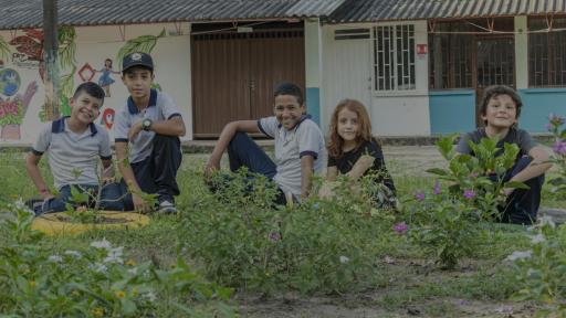 Niños que protegen las abejas: Radio Laboratorio