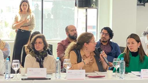 Elecciones 2023: MOE exige al CNE publicar listado definitivo de candidaturas