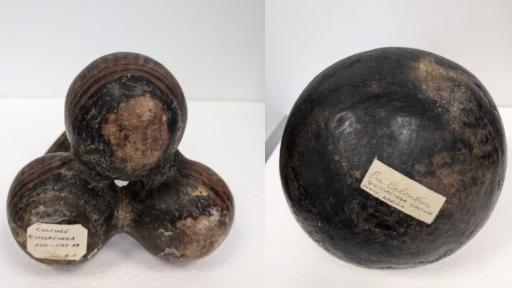 Piezas precolombinas vuelven a Colombia