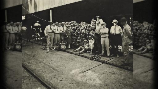 Masacre de las bananeras 97 años de un hecho que marcó la historia de Colombia