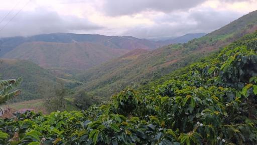 Memoria y solidaridad para el Catatumbo