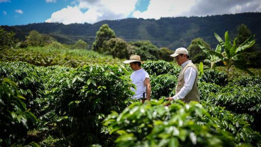 La economía colombiana creció 2,9% en octubre impulsada por la agricultura 