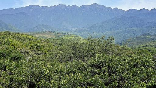 minería de oro ilegal en Colombia 