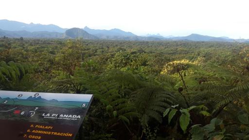 Buenas noticias para Nariño: Reservas Naturales del departamento recibirán apoyo de Cooperación Internacional