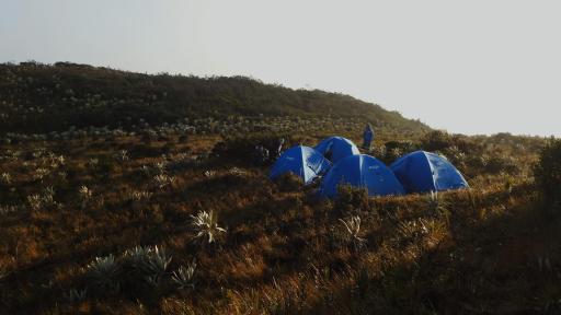 Miraflores, el páramo con algunas de las más variadas riquezas naturales del Huila