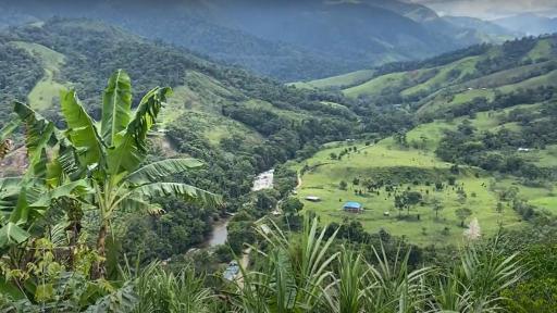 Firmantes de paz son amenazados en San Vicente del Caguán