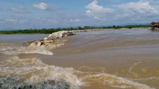 La Mojana: Campesinos intentan salvar sus animales para evitar más pérdidas