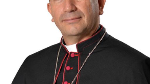  Qué es la paz urbana