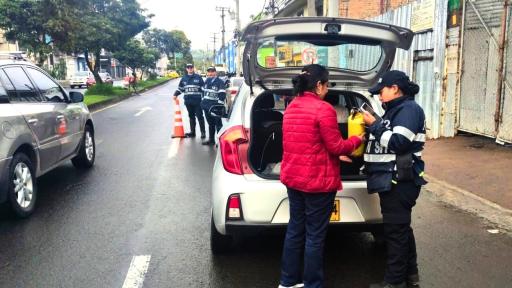 Pico y placa Pasto: semana del 16 al 20 de junio 2025