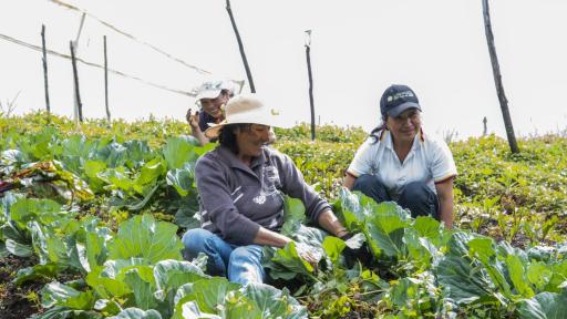 Convocatorias Minagricultura para mujeres  rurales