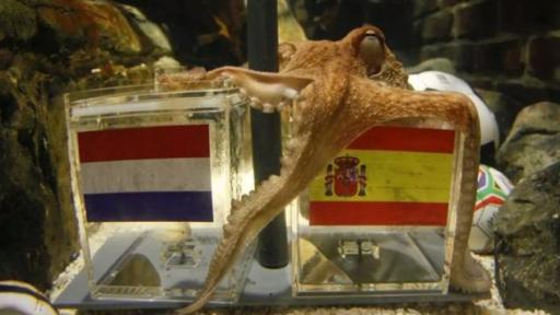 Cuántos días falta para el mundial: pulpo Paul