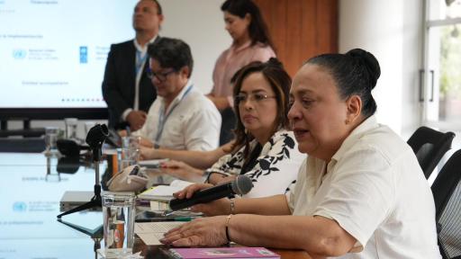 Naciones Unidas respalda proyecto de desarrollo rural en zonas PDET