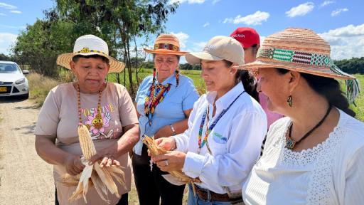 Comunidad Tama Páez crea banco de semillas nativas en Neiva