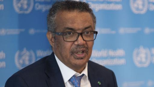 Viruela del mono: cuantos casos hay en el mundo en 2022