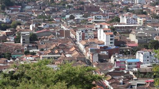 Proyectos agrícolas: Población del Catatumbo tendrá financiación 