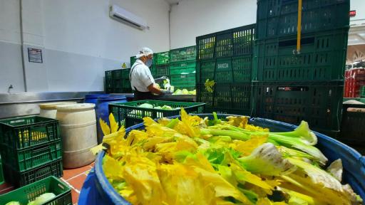 Banco de alimentos: qué es, función y desperdicio de alimentos 