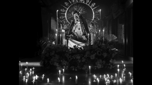 Mira películas gratis en RTVCPlay: Paloquemao, historia de vampiros