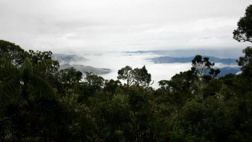 Parque Farallones de Cali, riesgo por minería ilegal