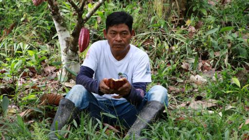 Surgir como la ceiba: preservación y saberes del Amazonas