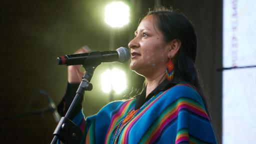 Festival Raíces Bogotá Andina: programación e invitados Bogotá 