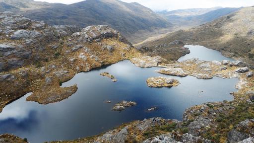 Páramo de Santurban es declarado sujeto de derechos