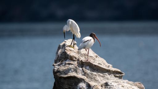 Parque Tayrona reabrió sus puertas hoy 16 de junio 2025 