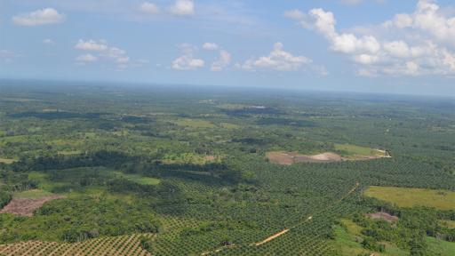 Paz: 27 proyectos comunitarios en el Catatumbo
