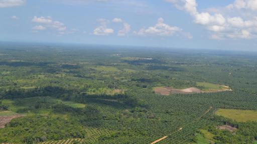 Expectativa por cese al fuego en Catatumbo