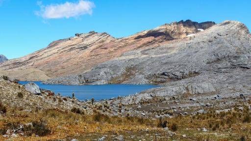 Perdida glaciar en Colombia:  glaciar Cerros de la Plaza