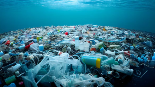 La plastisfera: una amenaza emergente para el medioambiente y la salud pública