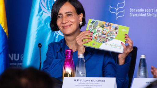  Plan de Acción de Biodiversidad de Colombia a 2030- COP16- Metas