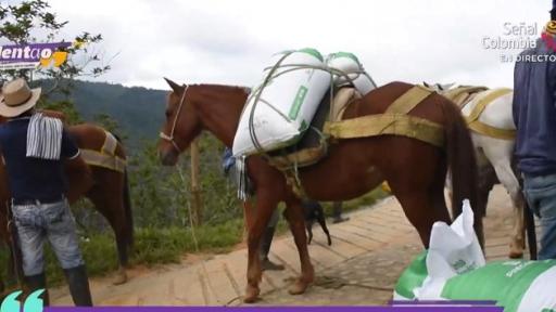 Planes de retorno a los territorios 