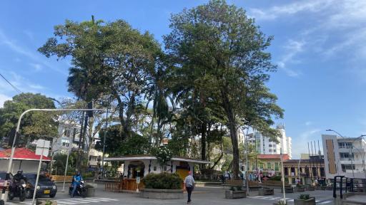 Festival de Caricaturas en Calarcá 2025: programación e invitados 