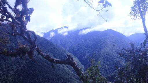Casa Mamarú, la iniciativa para proteger el Alto Putumayo