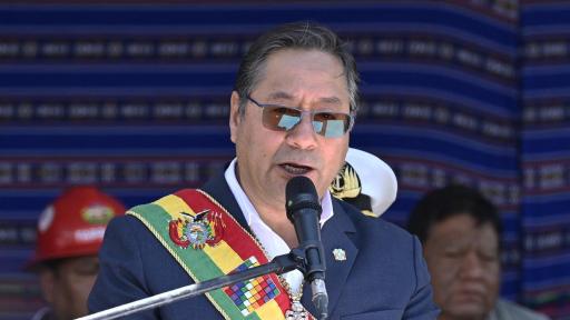 industrialización de la hoja de coca