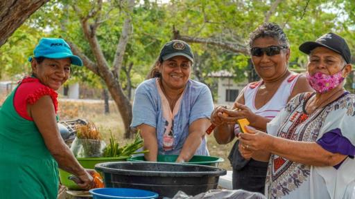 Programa Fondo Mujer Libre y Productiva 