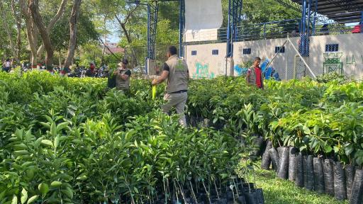 Programa de Sustitución de Cultivos Ilícitos Caquetá