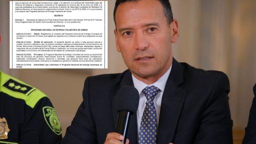  Programa desarmar a la población civil 