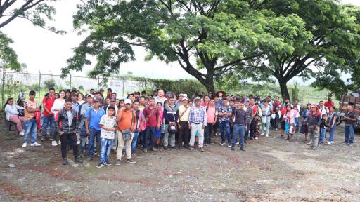 Proyectos cafeteros para familias indígenas en Cauca