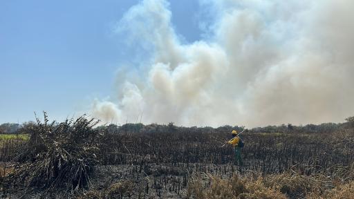 Barranquilla: humo por incendio en la Vía Parque Isla Salamanca