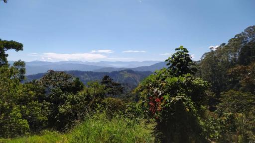 Ocaña tiene su propio pulmón ambiental